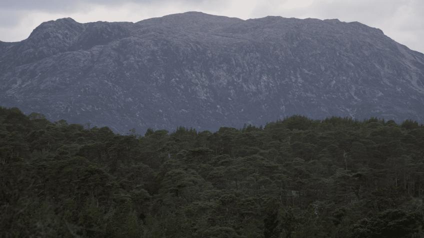 Caledonian Pinewood Challenge