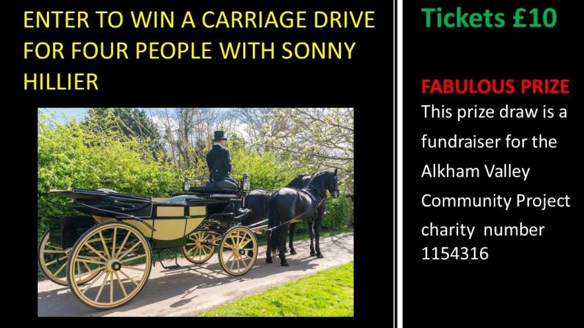 Experience the Elegance of a Horse and Carriage