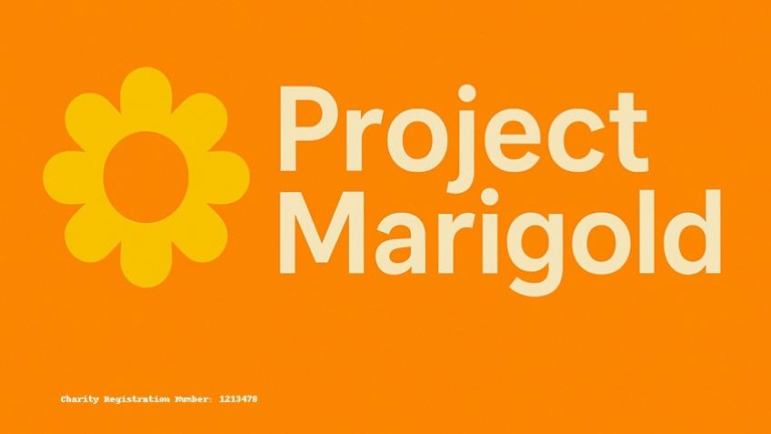Project Marigold