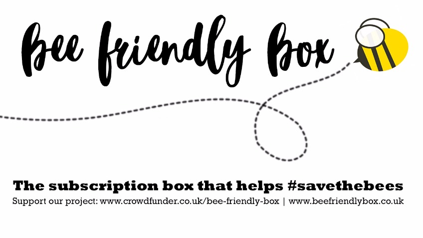 Bee Friendly Box