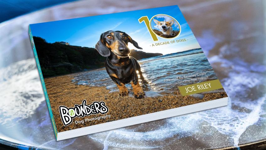 Photo Book: Celebrating a Decade of Bounders Dogs