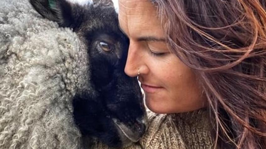 Heron Homestead Community by Wild Wool Shepherdess