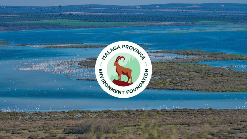Malaga Province Environment Foundation