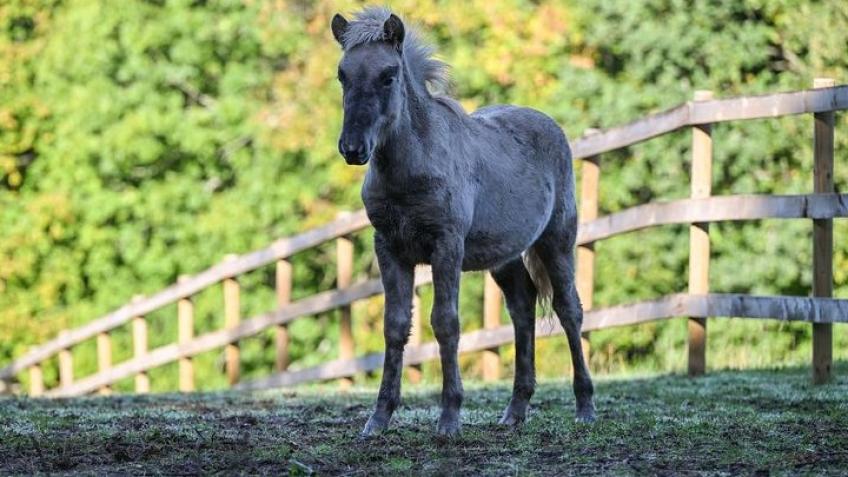 Help us purchase mud control mats this winter