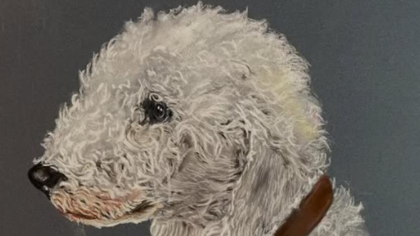 Win an original portrait of your pet