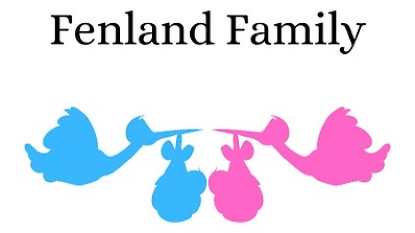 Keep Fenland Baby Bank Open