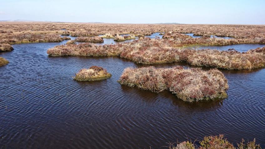 Peatland restoration at Munsary