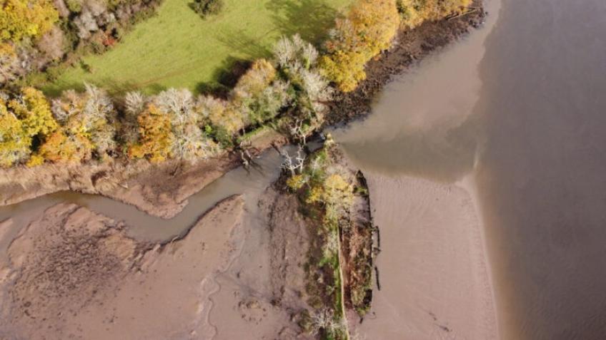 Saltmarsh Protection