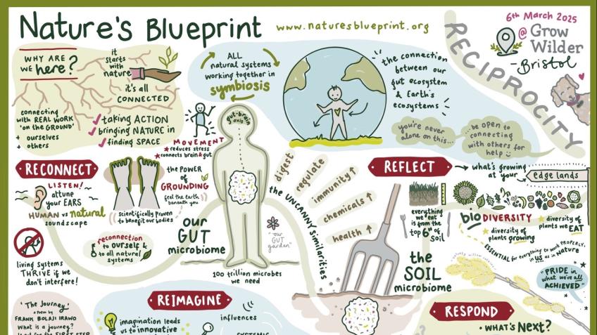 Help Nature's Blueprint flourish