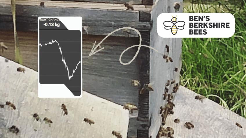 Future Bee - Technology to Improve Beekeeping