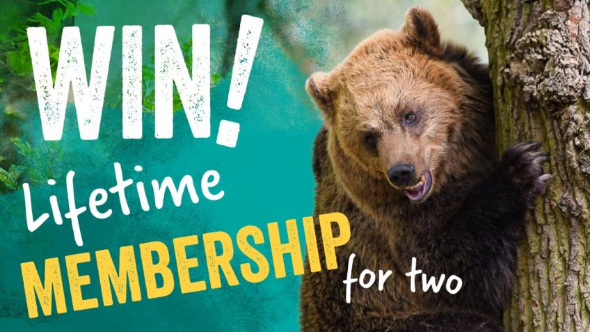 Win Lifetime Membership for Two!
