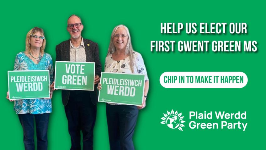 Help Elect Greens from Gwent to the Senedd