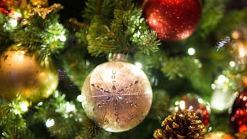 Barnsley Careleavers Christmas Dinner Project