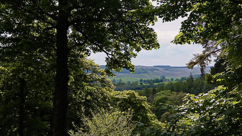 Help Fund a Community Ranger for Campsie Glen