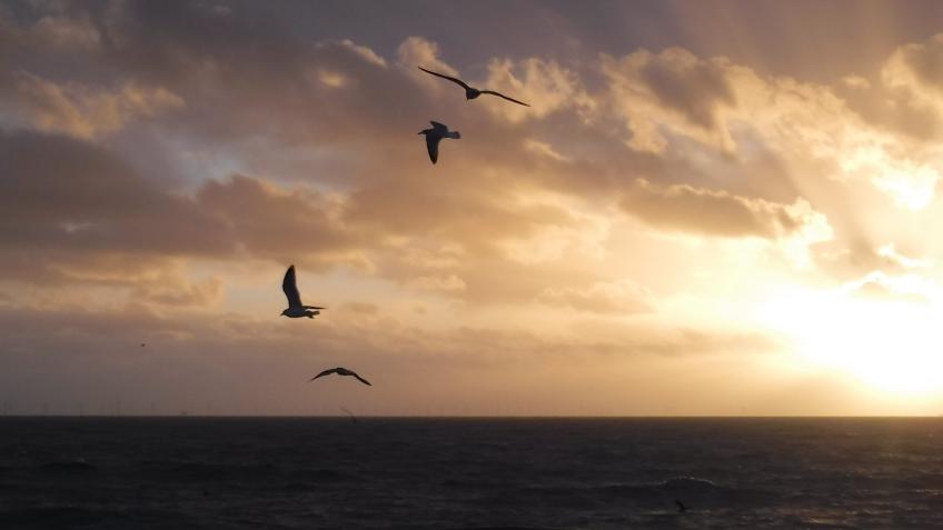 Brighton Fringe Play - As the Winds and Waters Are