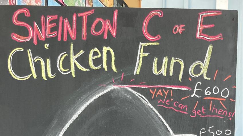 Sneinton C of E chickens!!