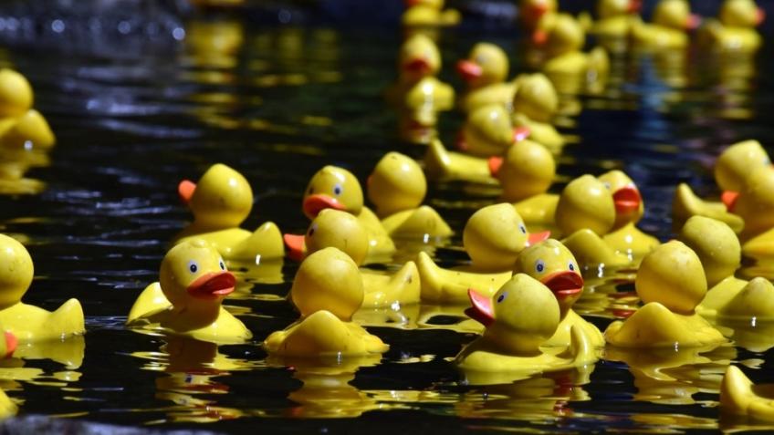 Bibury Duck Race 2025