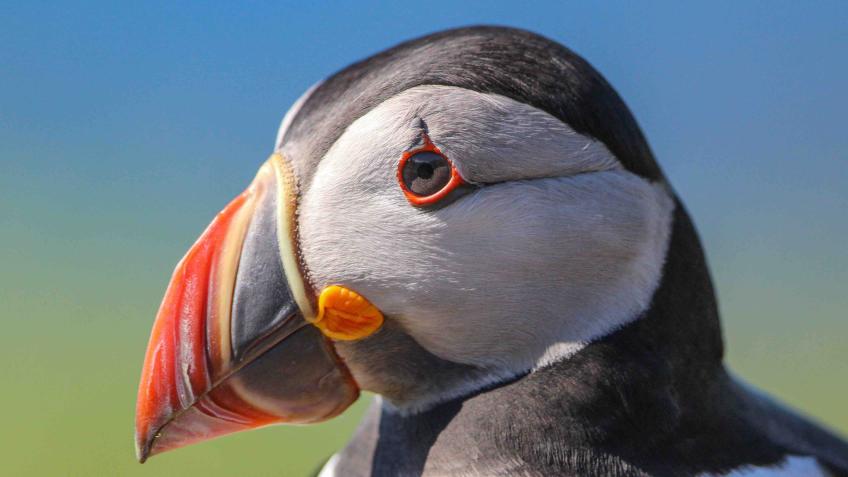Wildlife photo exhibit for Churchill Hospital