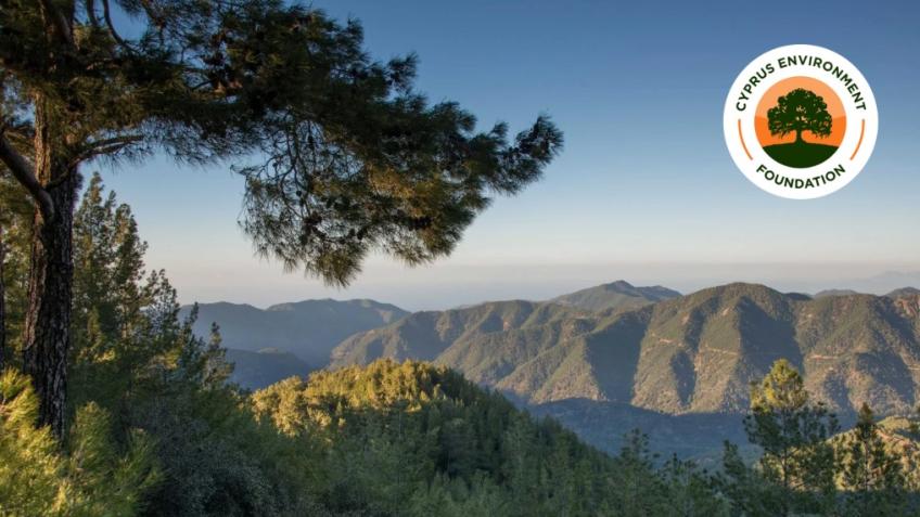 Cyprus Environment Foundation: Celebrating 3 years