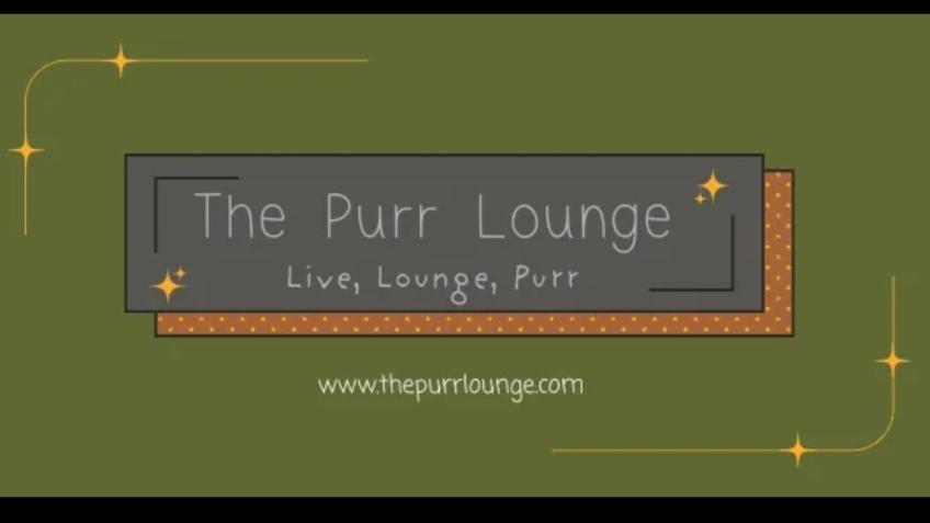 The Purr Lounge