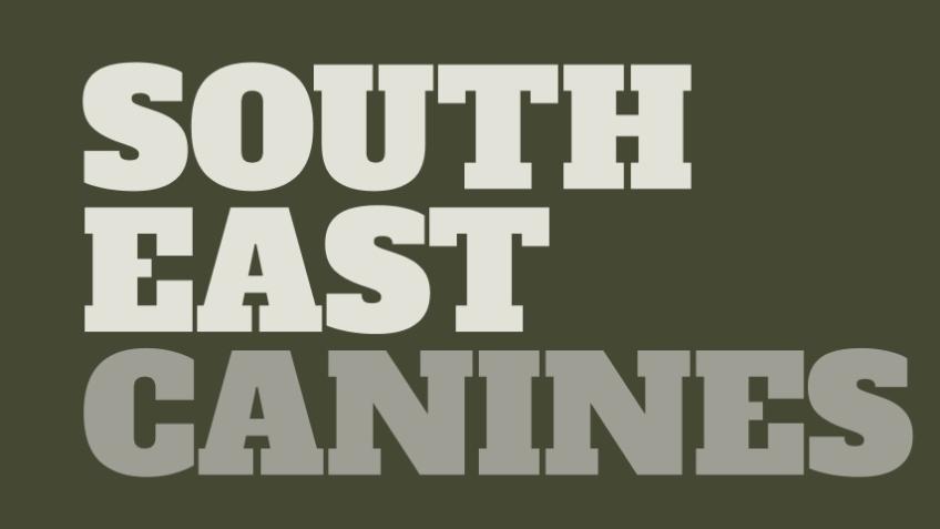 South East Canines’ Flag Ship Funding