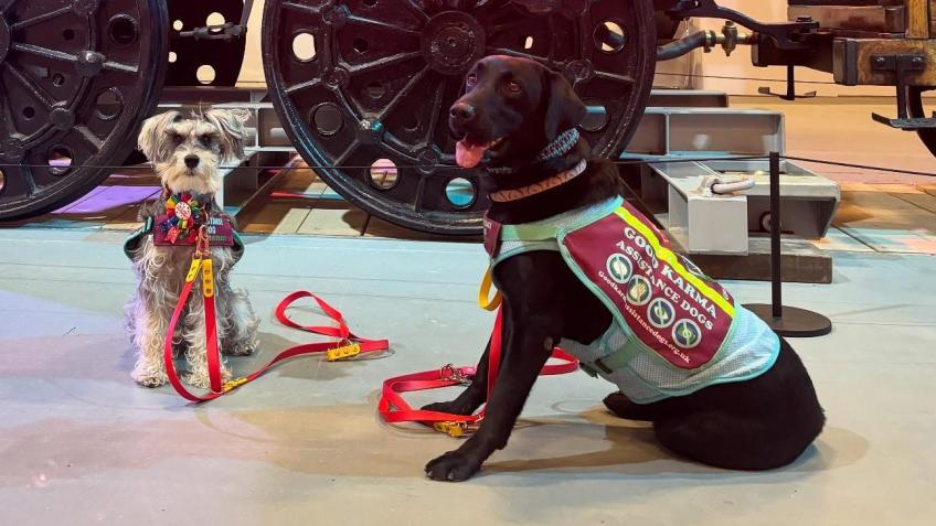 Help Good Karma Assistance Dogs Get A Facility