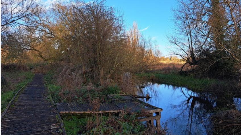 A New Boardwalk by the River Kennet