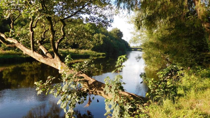 Ribble Rivers Trust