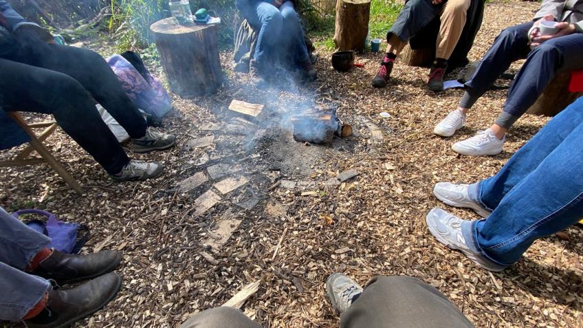 Women Rise Rooted: Nature Connection for Survivors