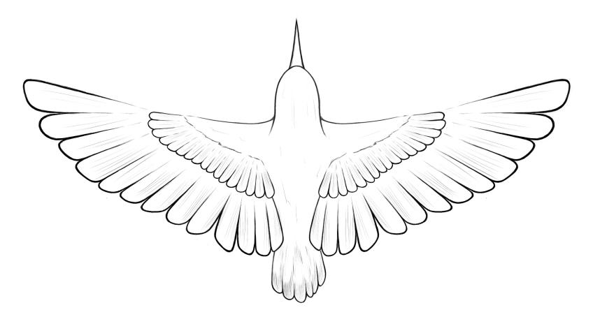 The Sunbird Project