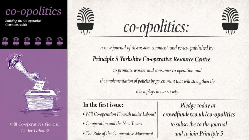 Co-opolitics: A Journal of Political Co-operation