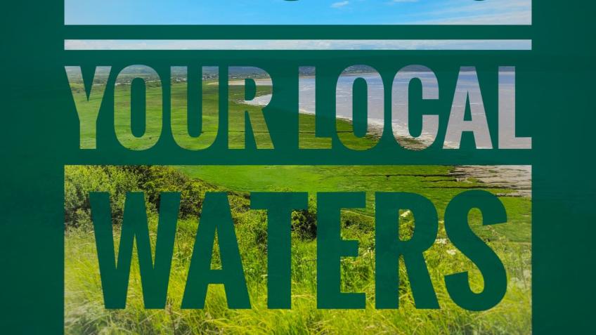 Exploring Your Local Water: Let's take a dive