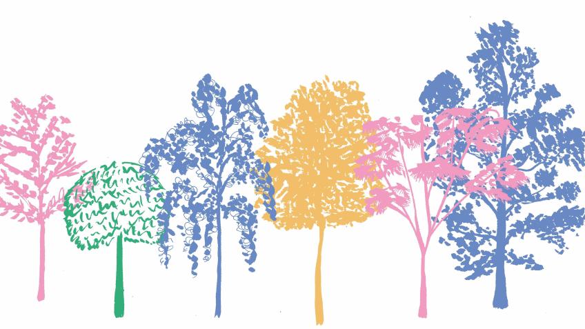 Sponsor a Street Tree