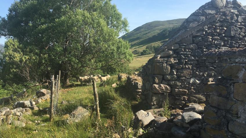 Building a Sustainable Future on a Highland Croft
