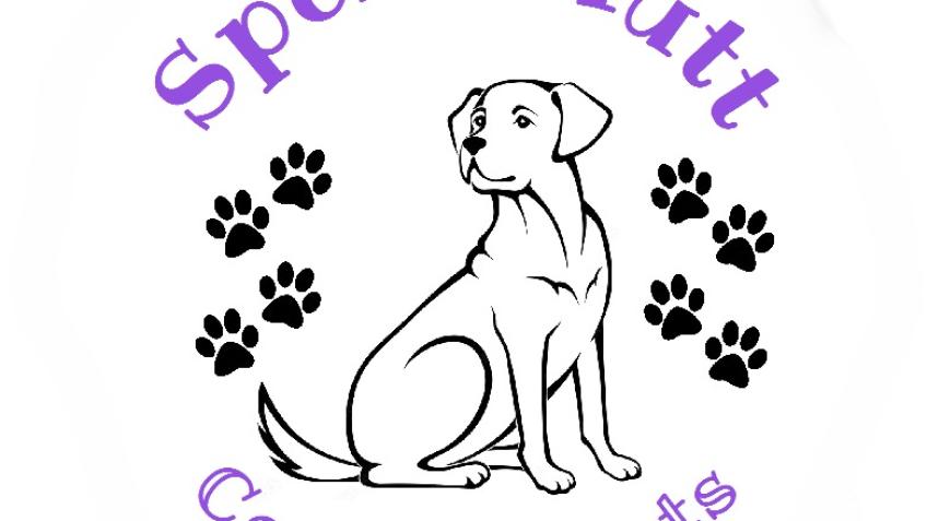 Woodland secure dog walking