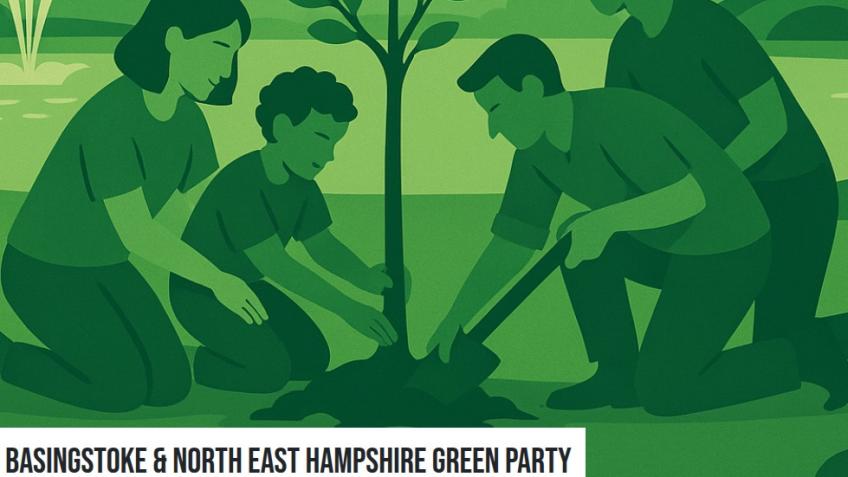 Get a Hampshire Green Councillor elected in 2026💚