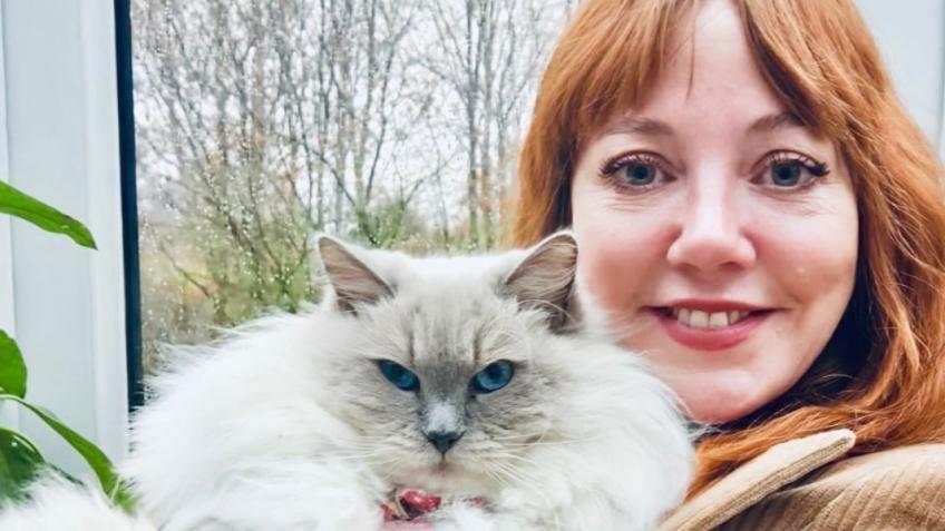 Help Build a Rescue Centre for Moggies Cat Rescue