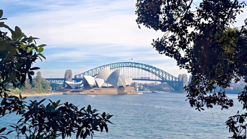 Sydney Marathon 2026 for Alzheimer’s Society