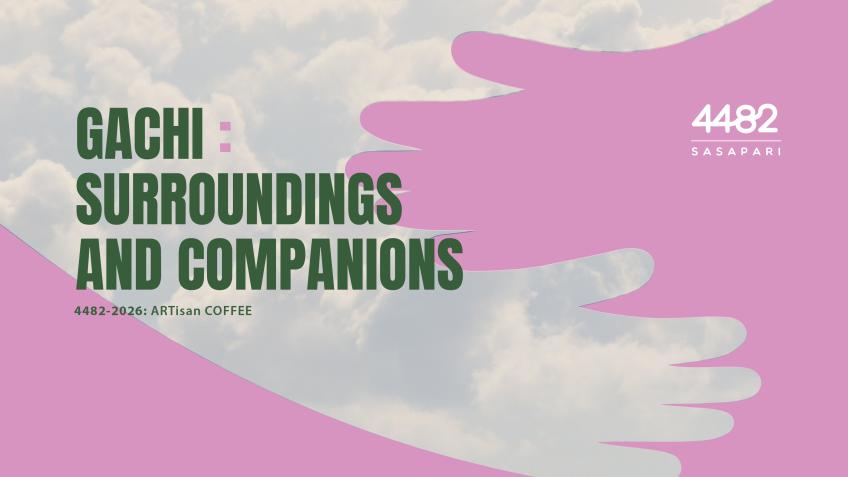 Gachi: Surroundings and Companions