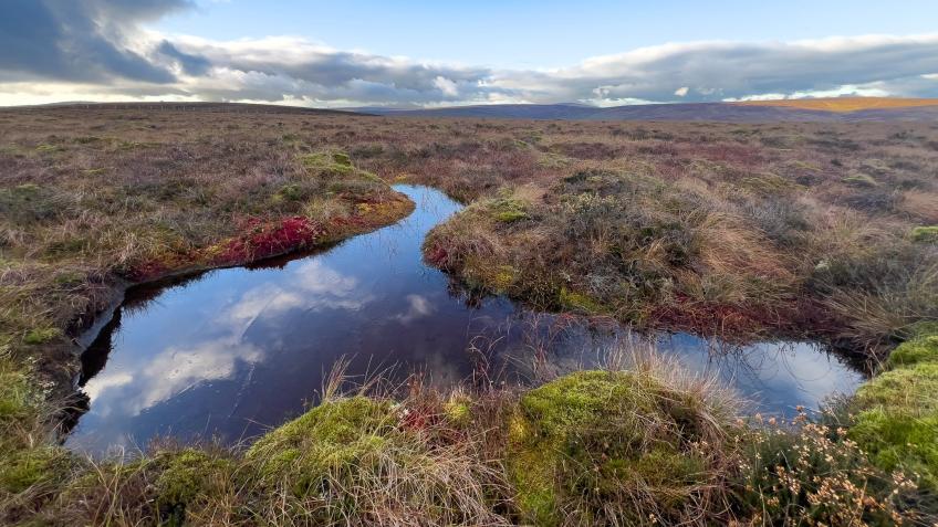 Glendun's Precious Peatlands