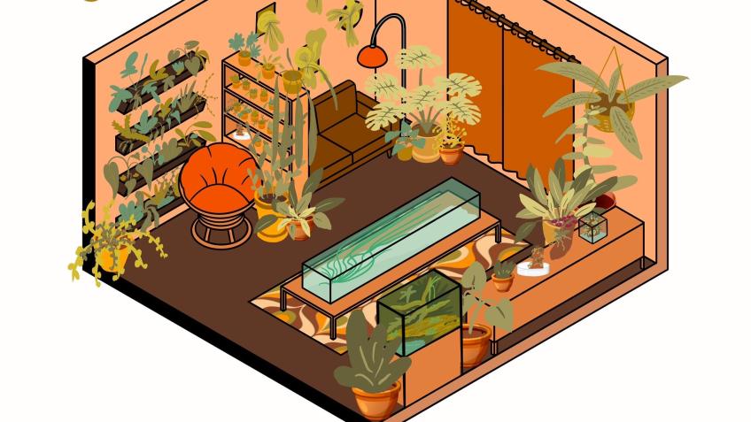 Win some amazing plants from our show garden!
