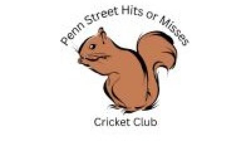 New Women's Cricket Club in Bucks