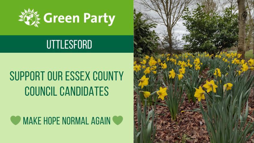 Get Uttlesford Greens onto Essex County Council
