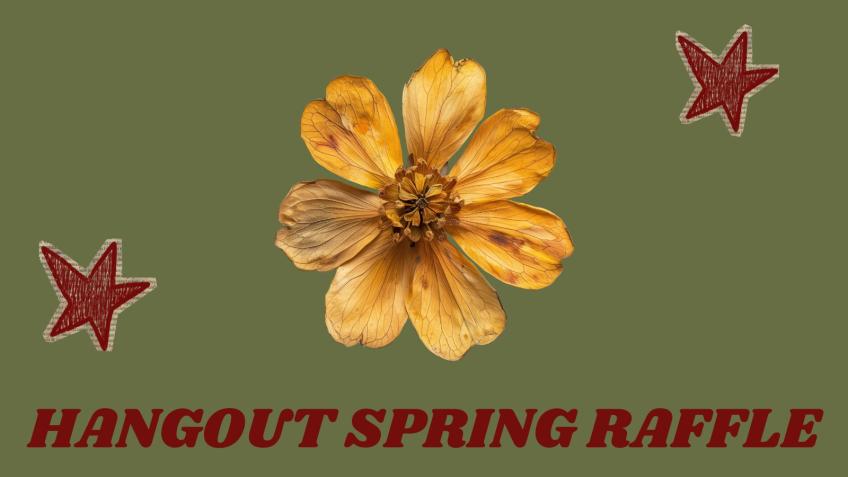 Spring Hangout prize draw