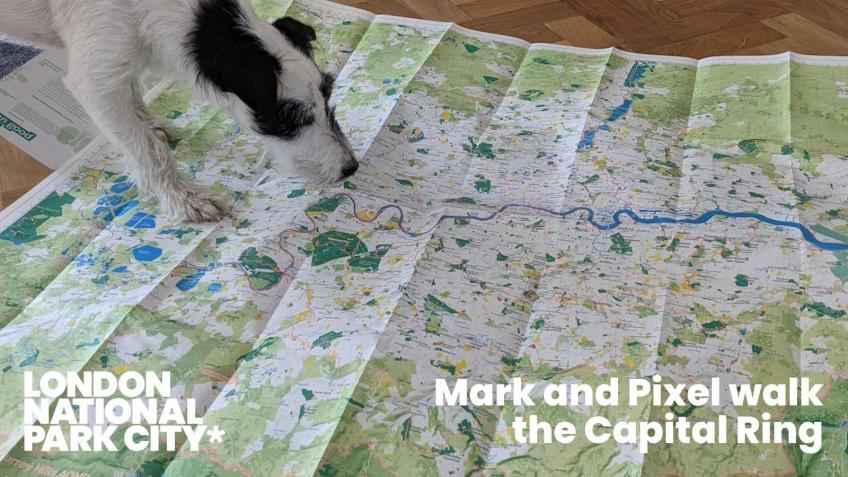 Mark and Pixel walk the Capital Ring