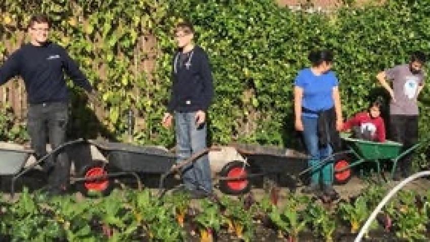 Aldermoor Community Farm Volunteer Program