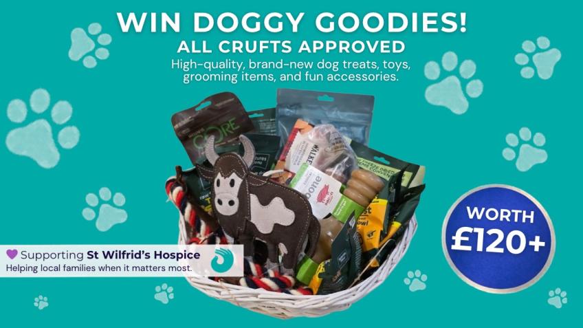 🐶 Win this Premium Dog Goodies Basket worth £120+