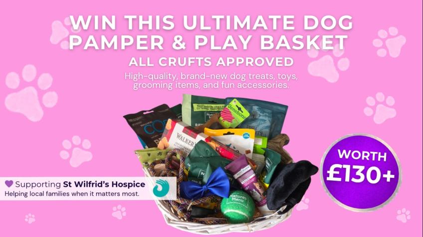 Win this Ultimate Dog Pamper & Play Basket (£130+)