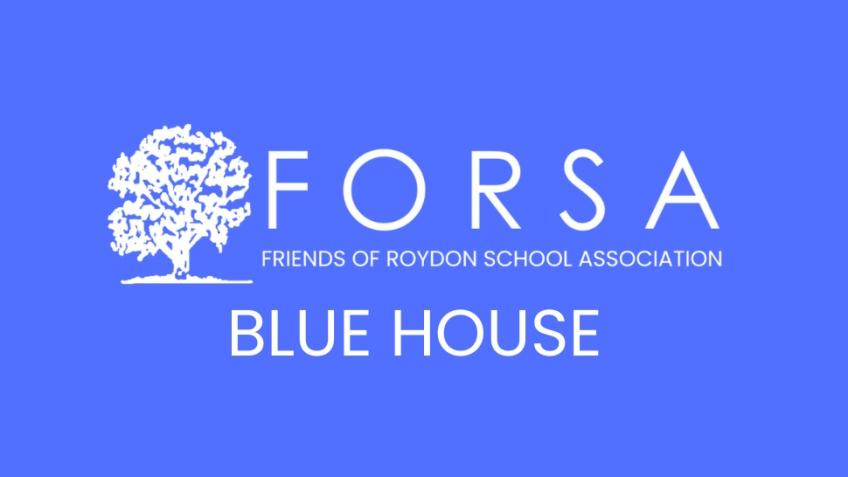 Colour Run - Blue House