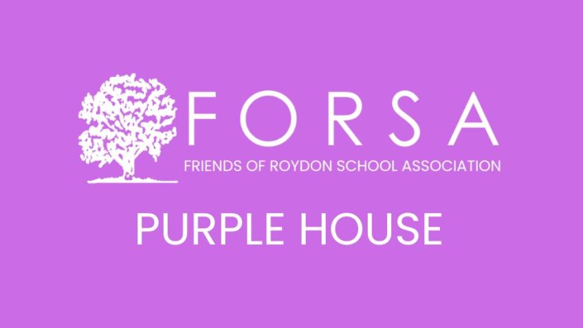 Colour Run - Purple House